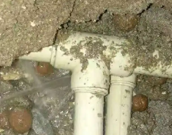 通川测漏水多少钱