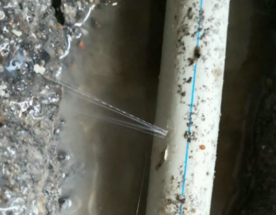 通川测漏水哪家好