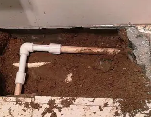 通川测漏水哪家好