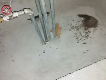 通川卫生间测漏水价格明细