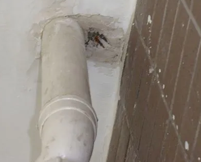 通川漏水检测哪家好